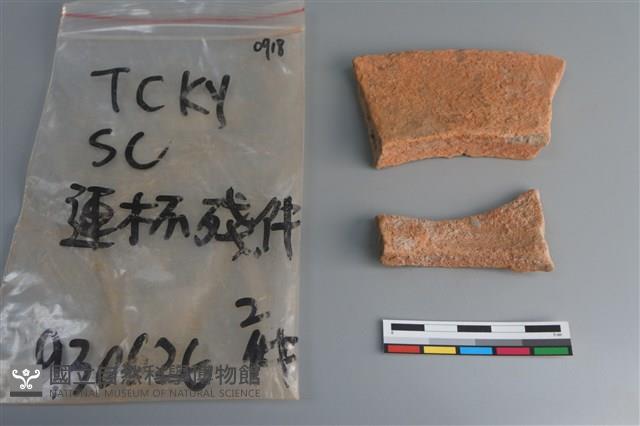 連杯形器藏品圖，第2張