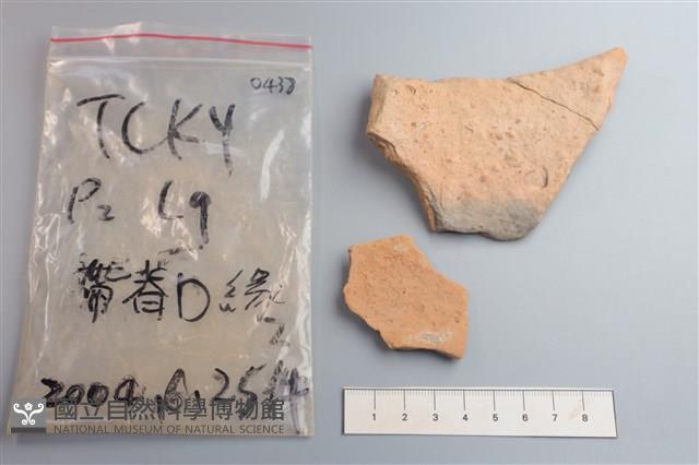 陶片藏品圖，第2張