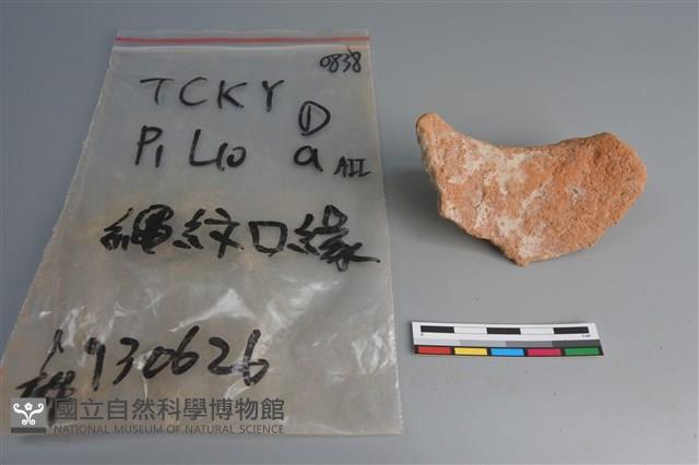 陶片藏品圖，第2張