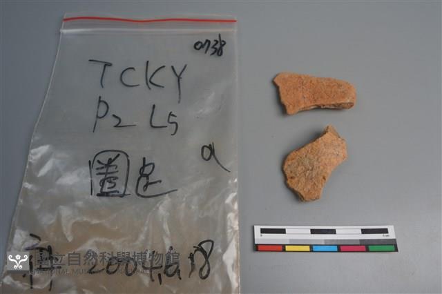 陶片藏品圖，第2張