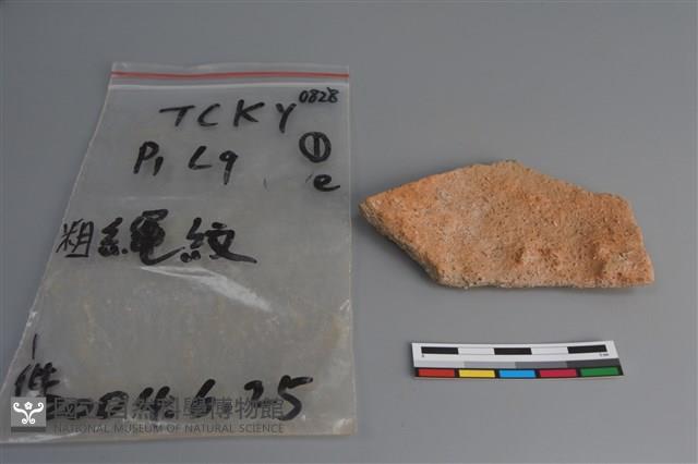 陶片藏品圖，第2張