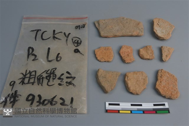 陶片藏品圖，第2張