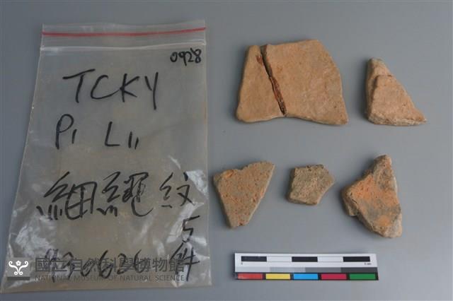 陶片藏品圖，第2張