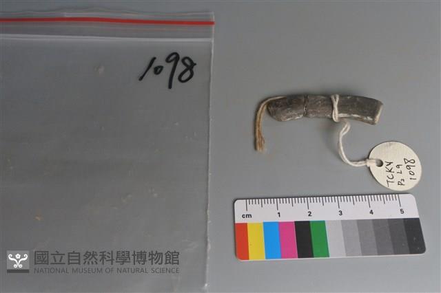 陶環藏品圖，第2張