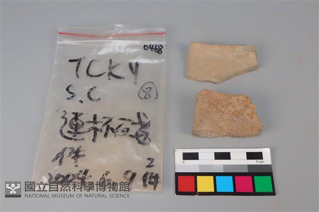 連杯形器藏品圖，第2張
