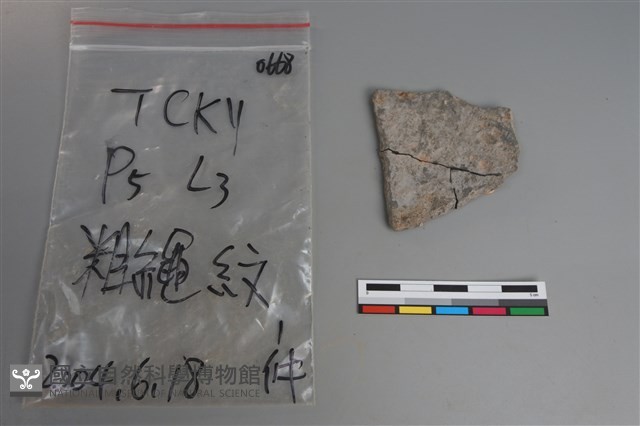 陶片藏品圖，第2張