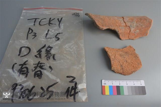 陶片藏品圖，第2張