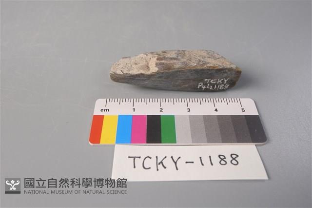 錛鑿形器藏品圖，第2張