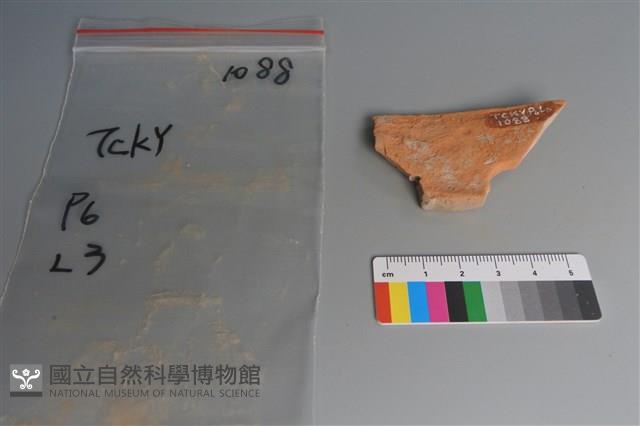 陶片藏品圖，第2張