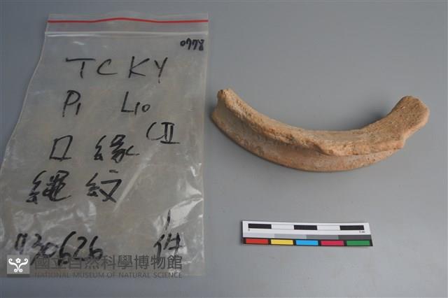 陶片藏品圖，第2張