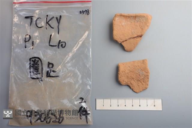 陶片藏品圖，第2張