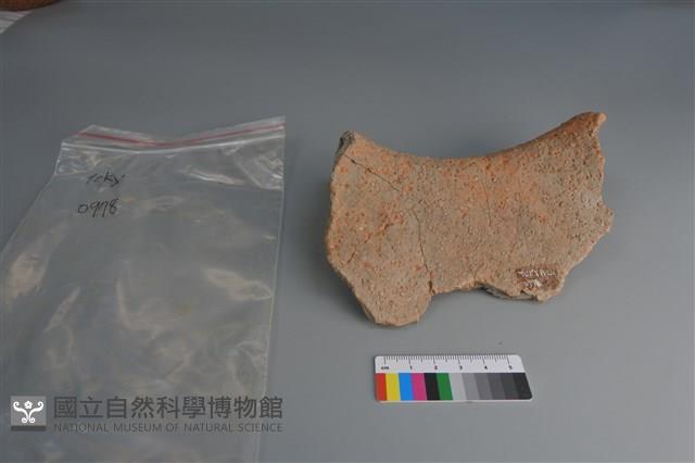 陶片藏品圖，第2張