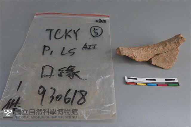 陶片藏品圖，第2張