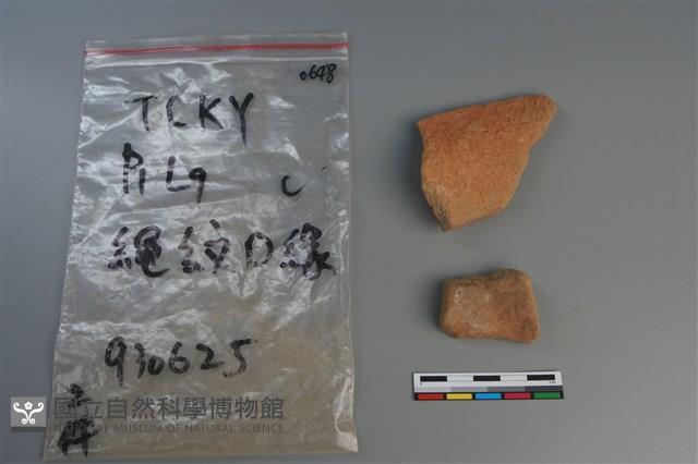 陶片藏品圖，第2張