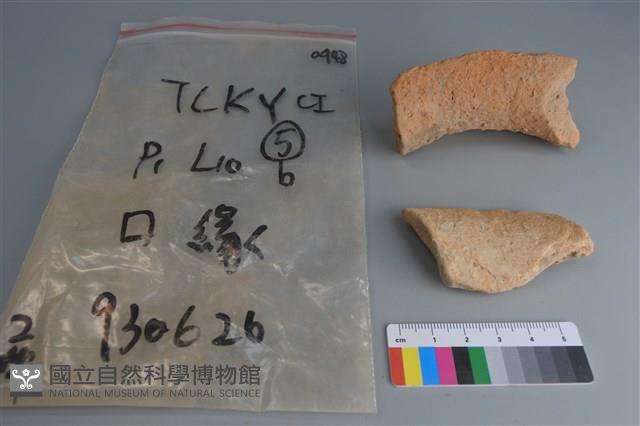 陶片藏品圖，第2張