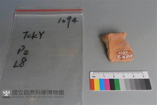 陶片藏品圖，第2張