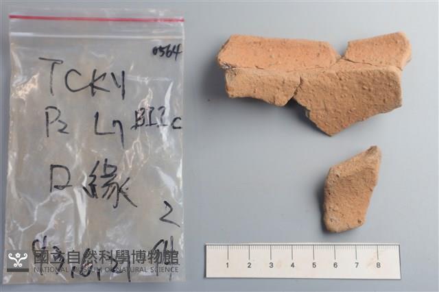 陶片藏品圖，第2張