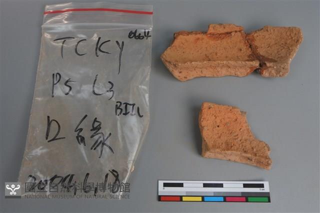 陶片藏品圖，第2張