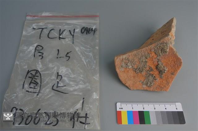 陶片藏品圖，第2張