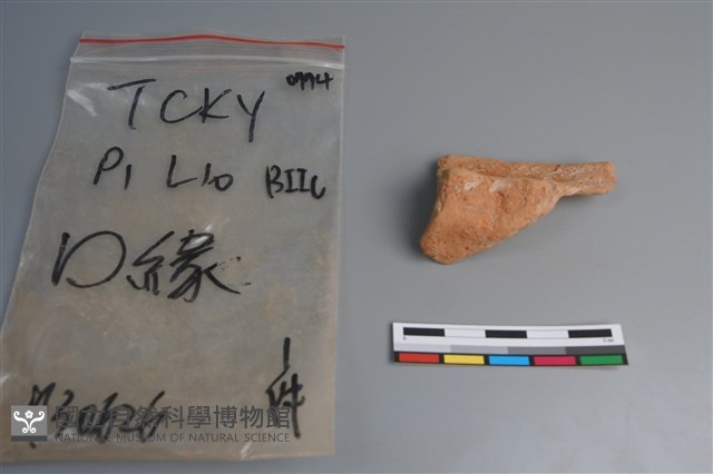 陶片藏品圖，第2張