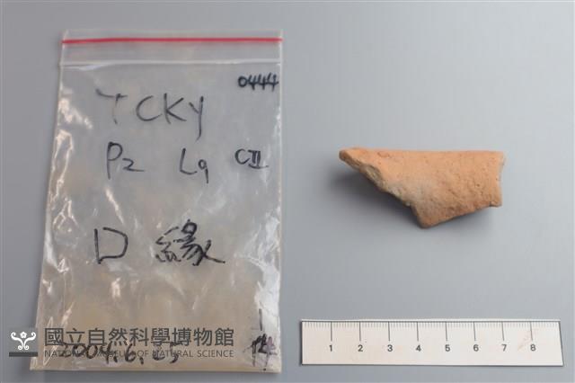 陶片藏品圖，第2張