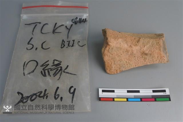 陶片藏品圖，第2張