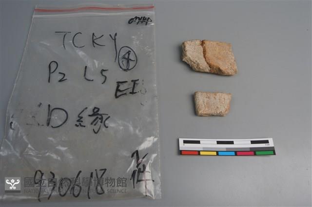 陶片藏品圖，第2張