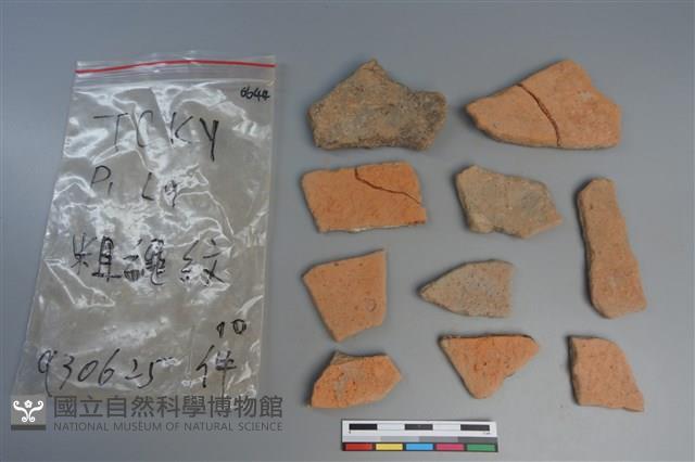 陶片藏品圖，第2張