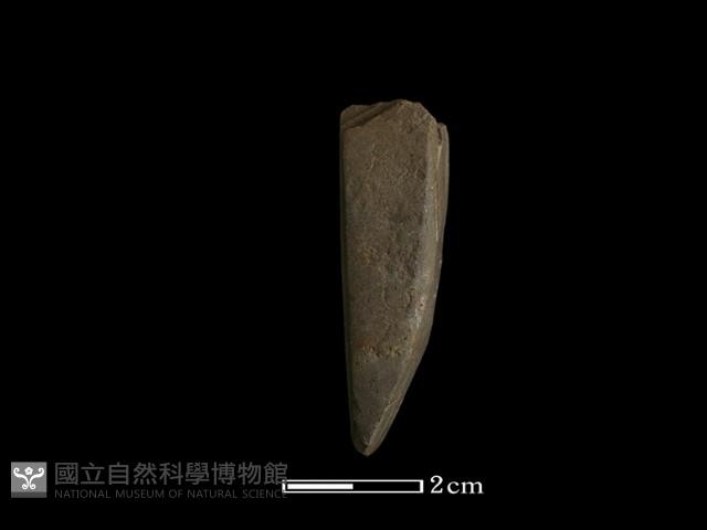 錛鑿形器藏品圖，第2張