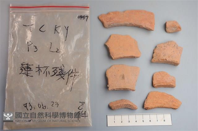 連杯形器藏品圖，第1張