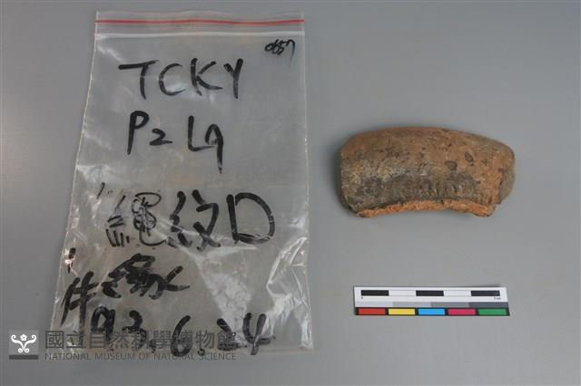 陶片藏品圖，第1張