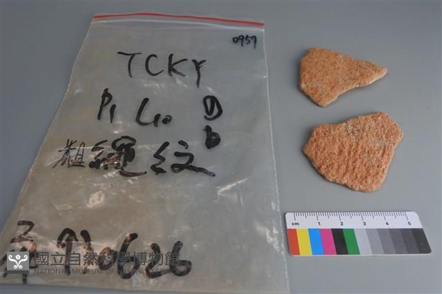 陶片藏品圖，第1張