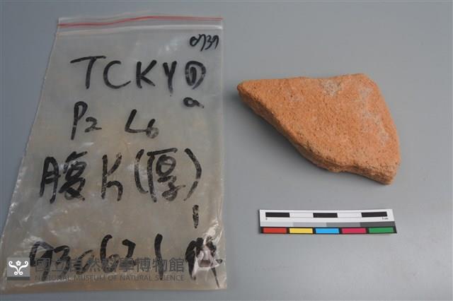 陶片藏品圖，第1張