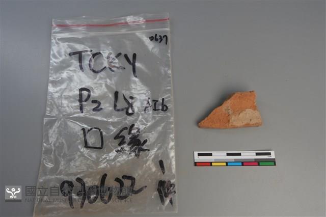 陶片藏品圖，第1張