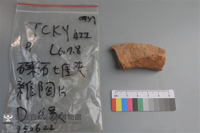 陶片藏品圖，第1張