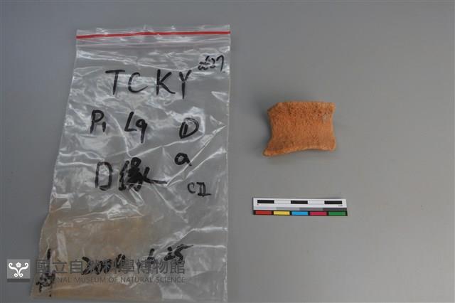 陶片藏品圖，第1張