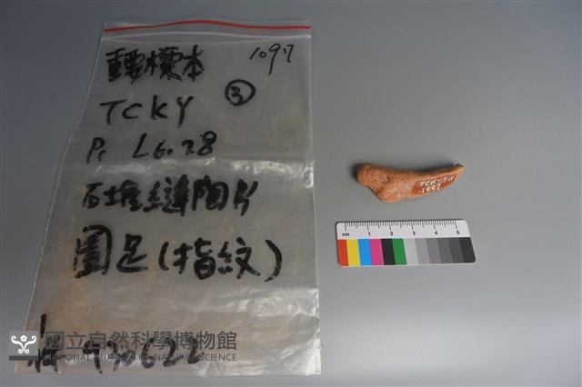 陶片藏品圖，第1張