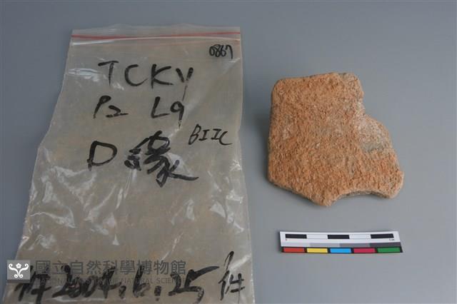 陶片藏品圖，第1張