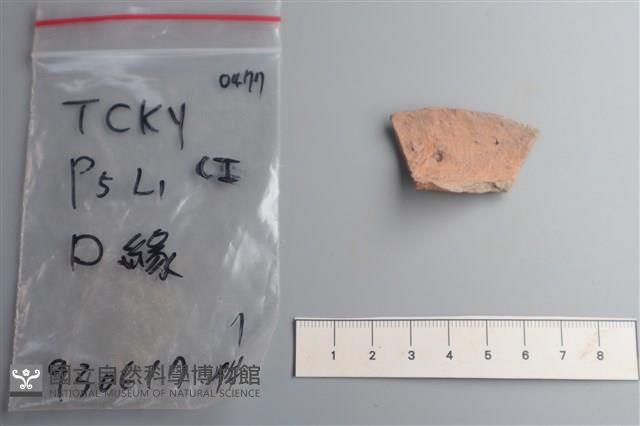 陶片藏品圖，第1張