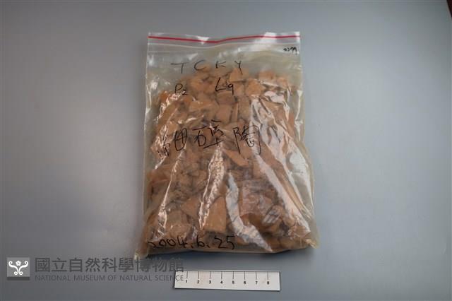 陶片藏品圖，第1張