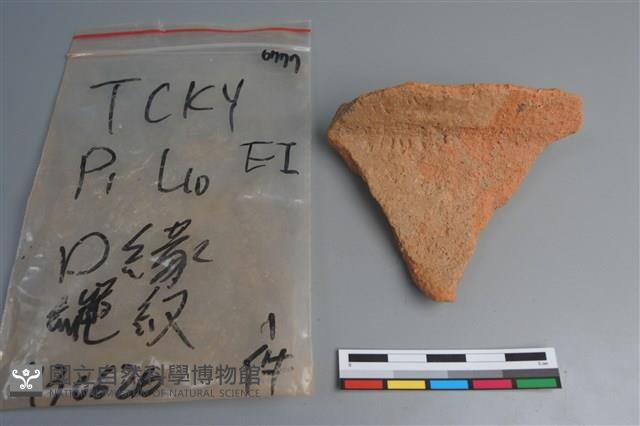 陶片藏品圖，第1張