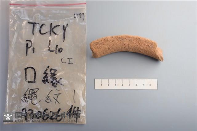 陶片藏品圖，第1張