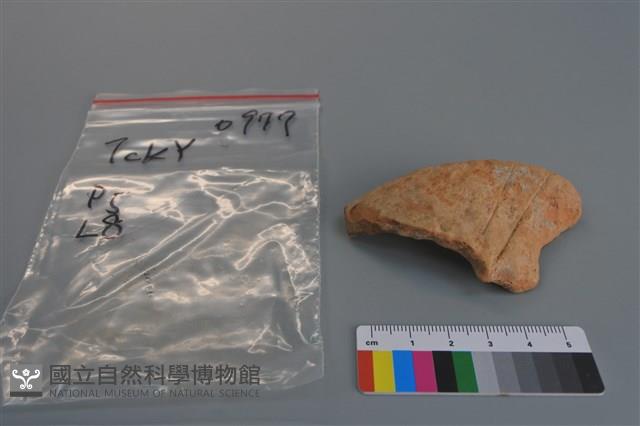 陶片藏品圖，第1張