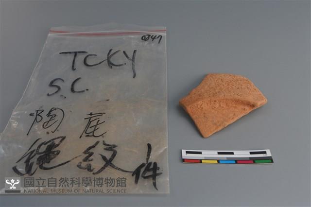 陶片藏品圖，第1張