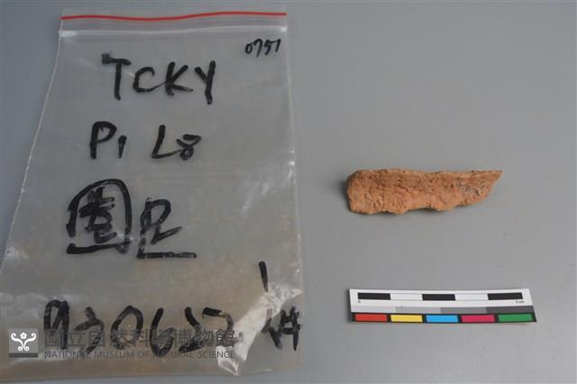 陶片藏品圖，第1張