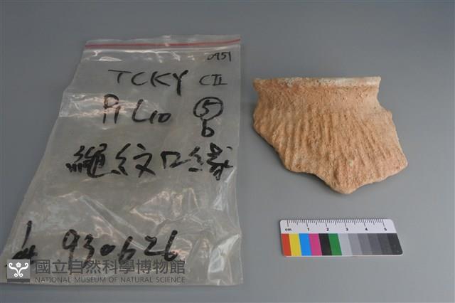 陶片藏品圖，第1張