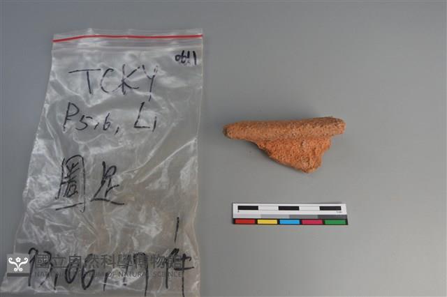 陶片藏品圖，第1張