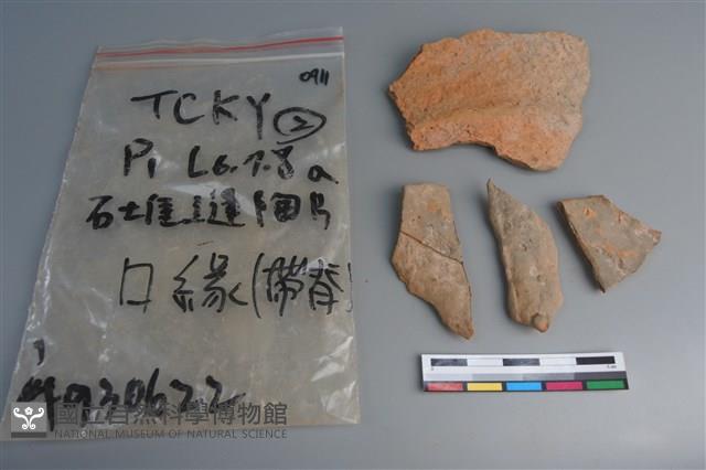 陶片藏品圖，第1張