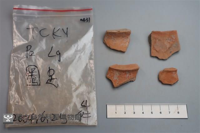 陶片藏品圖，第1張