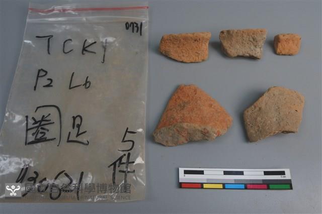 陶片藏品圖，第1張